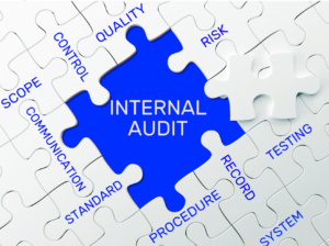 internal audit jigsaw piece with words relating to auditing